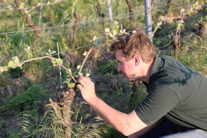 DREIGEBRÜDER Riesling